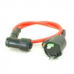 Ignition Coil - 2 pin Red