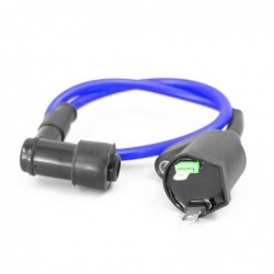 Ignition Coil - 2 pin Blue
