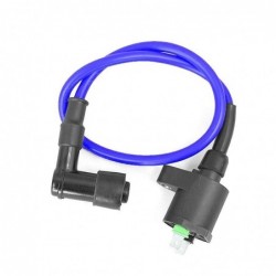 Ignition Coil - 2 pin Blue