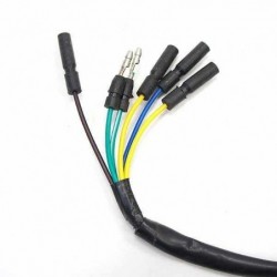 Magneto Stator 8 Coil - ø30mm