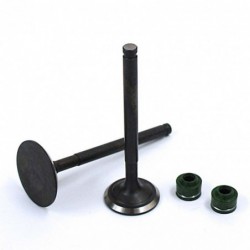 Valve Set YX 150/160cc (1P60)