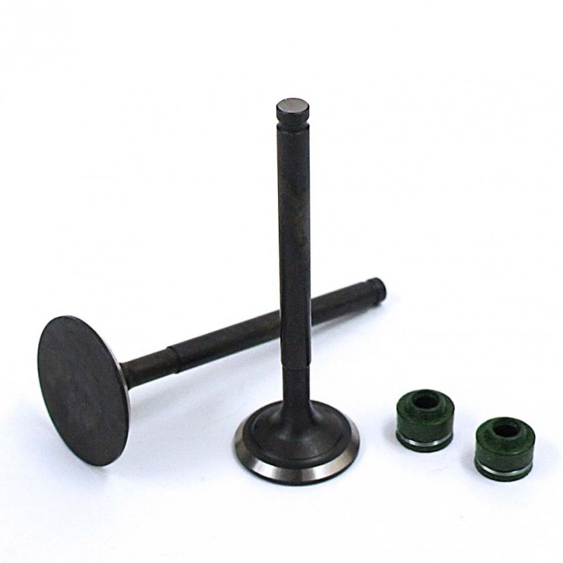 Valve Set YX 150/160cc (1P60)