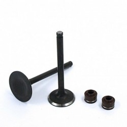 Valve Set YX 140/150cc (1P56)