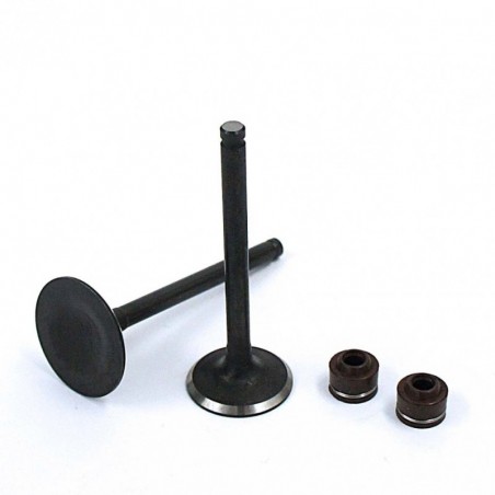 Valve Set YX 140/150cc (1P56)