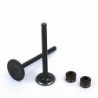Valve Set LIFAN - 107/110cc (1P52)