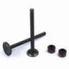 Valve Set LIFAN 50cc (1P39)