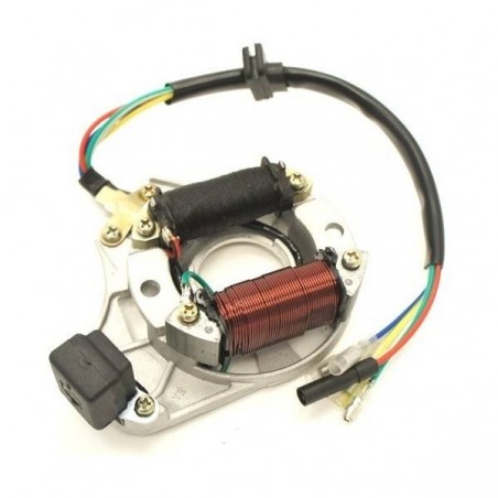 Magneto Stator Plate