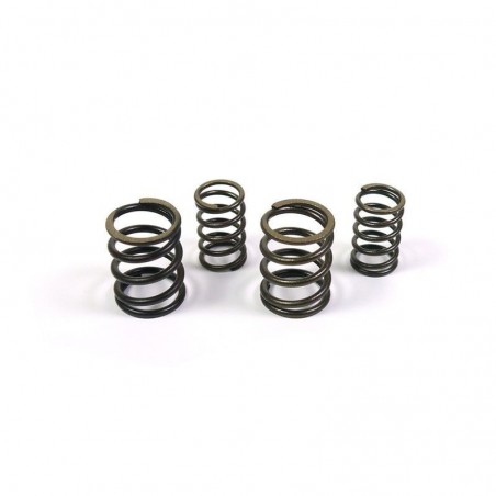 Valve springs YX 140/150cc (1P56)