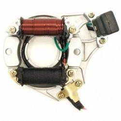 Magneto Stator Plate