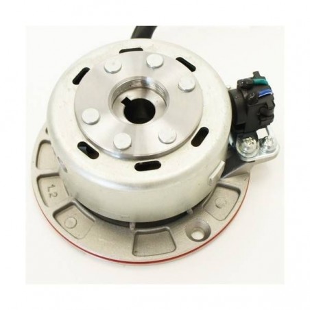 Magneto Stator Plate Racing Mini-Rotor