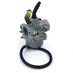 Carburettor PZ16