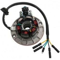 Magneto Stator - YX 150cc /...