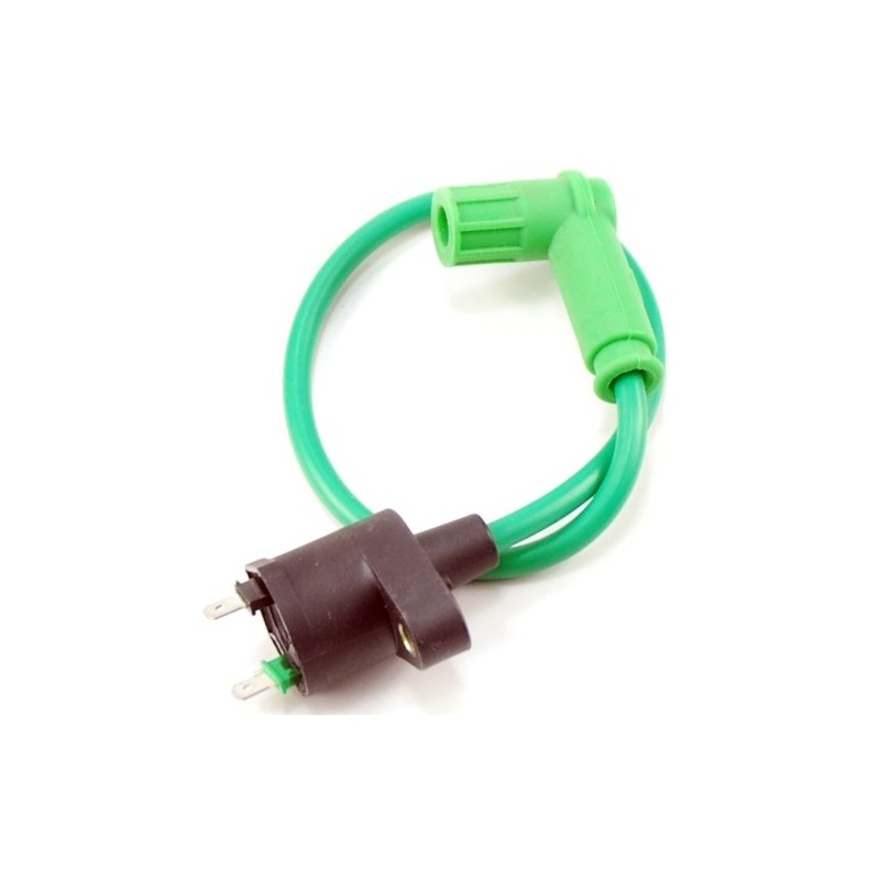 Ignition Coil - 2 pin Green