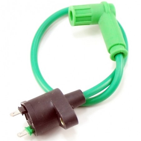 Ignition Coil - 2 pin Green