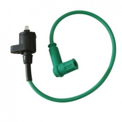 Ignition Coil - 2 pin Green