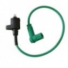 Ignition Coil - 2 pin Green