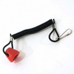 Lanyard kill switch
