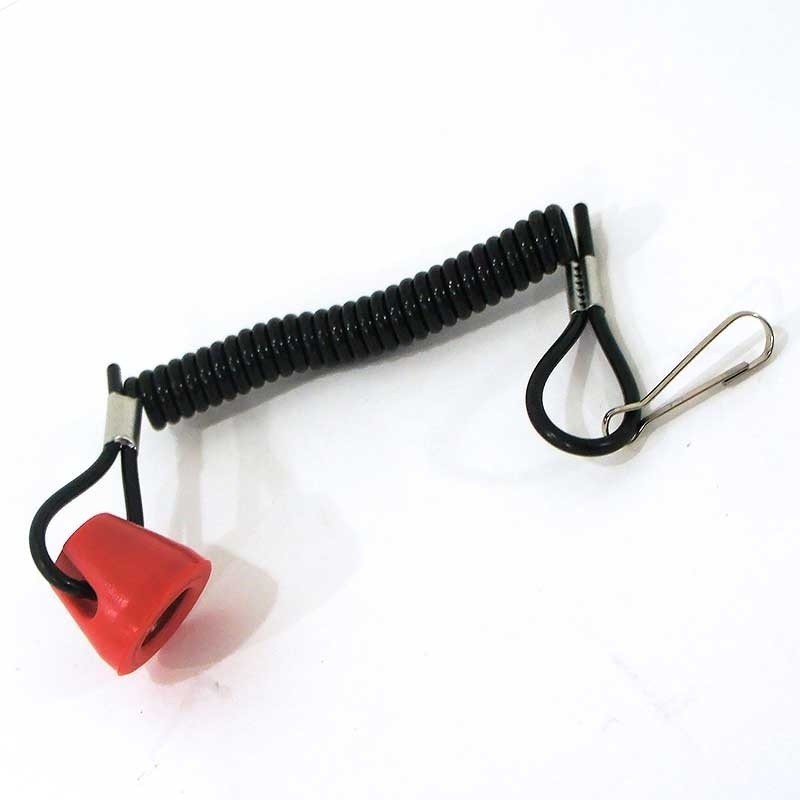 Lanyard kill switch