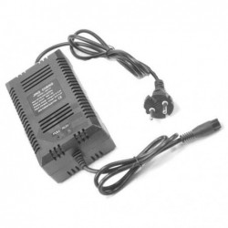 Carregador Bateria 24V