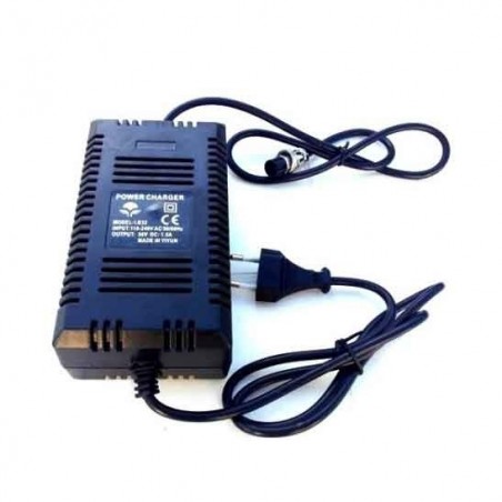 48V battery charger