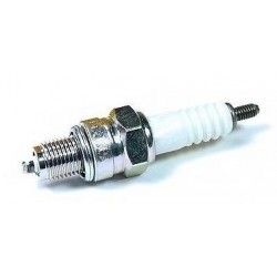 Wiring Loom CDI