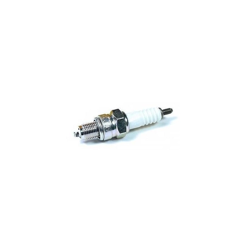 Wiring Loom CDI