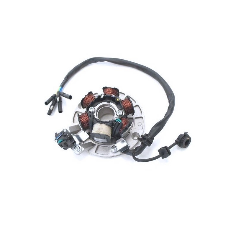 Magneto Stator Plate 6 Coil