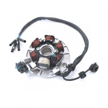 Magneto Stator Plate 6 Coil