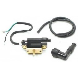 Ignition Coil - 2 Cable