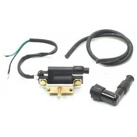 Ignition Coil - 2 Cable