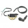 Ignition Coil - 2 Cable