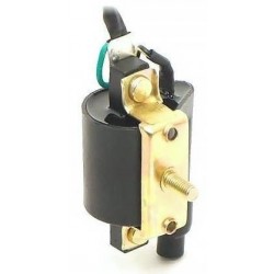 Ignition Coil - 2 Cable