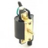 Ignition Coil - 2 Cable