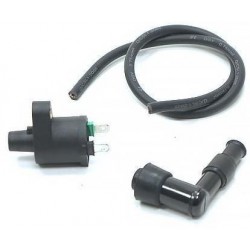 Ignition Coil - 2 pin