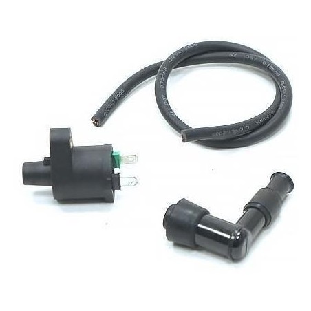 Ignition Coil - 2 pin