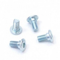 Disc screws ø8mm (x4)