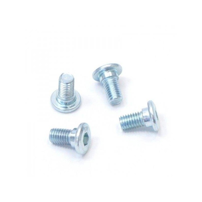 Disc screws ø8mm (x4)