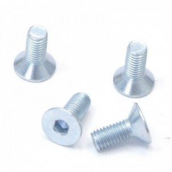 Disc screws ø8mm (x4)
