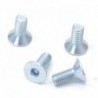 Disc screws ø8mm (x4)