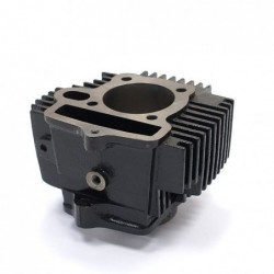 Pit bike Cylinder-LIFAN 125cc Dirt Bike Mini Moto Cross