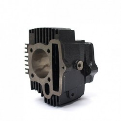 Pit bike Cylinder LIFAN...