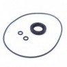 Stator plate oil seal set