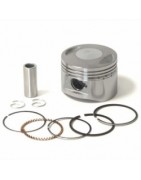 Pistons, Rings - PITBIKE.PT