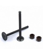 Válvulas, Martelos, Guias - PITBIKE.PT